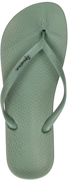 Anatomic Colors - large