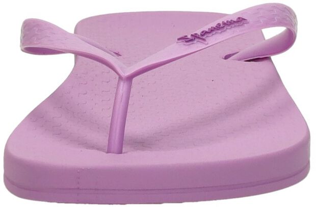 Anatomic Colors - large