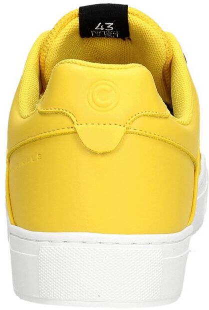 Bradbury Chromatic - large