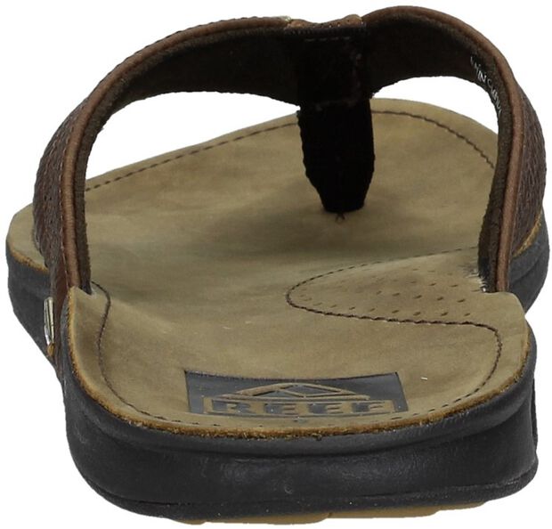 Reef J-Bay III - large