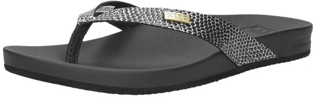 Cushion Court - large