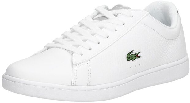 Carnaby EVO 220 - large