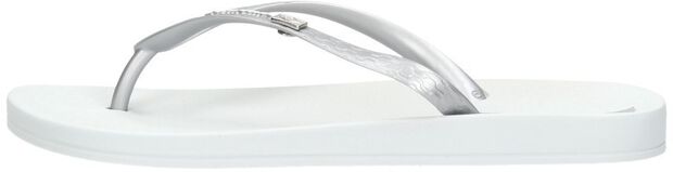 Anatomic Brasilidade - large