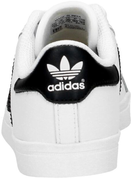 Coast Star C - large