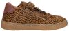 Sneakers Laag - small