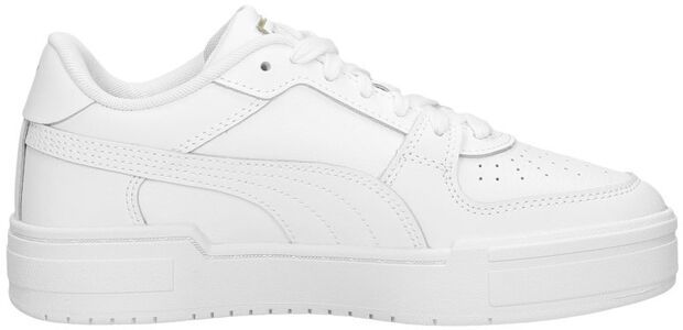 CA Pro Classic Jr - large