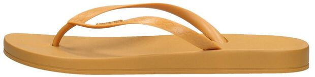 Ipanema Anatomic Tan Colors - large