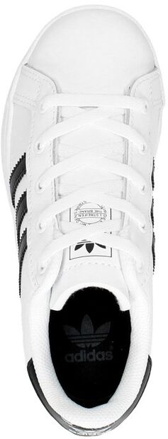 Coast Star C - large