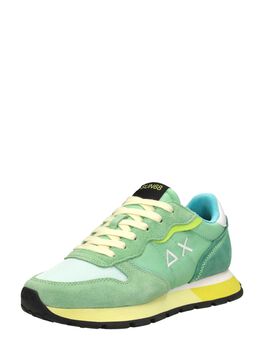 Ally Color Explosion