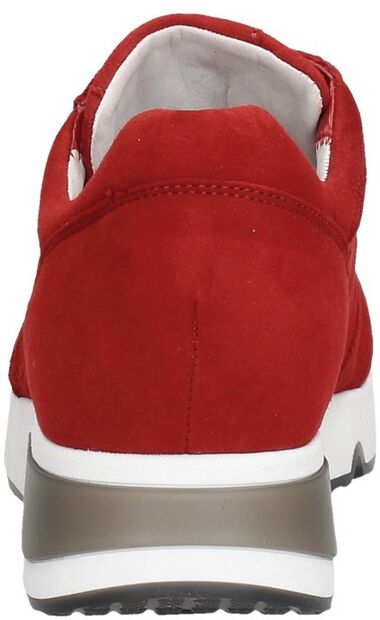Dames sneakers - large