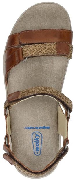 Acula Softy Wax - large