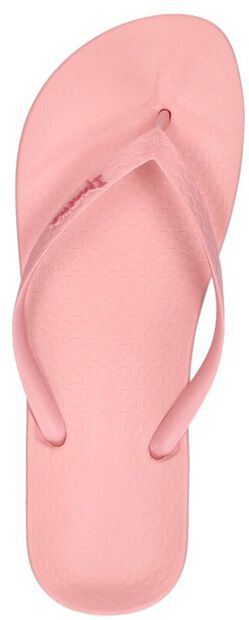 Anatomic Colors - large