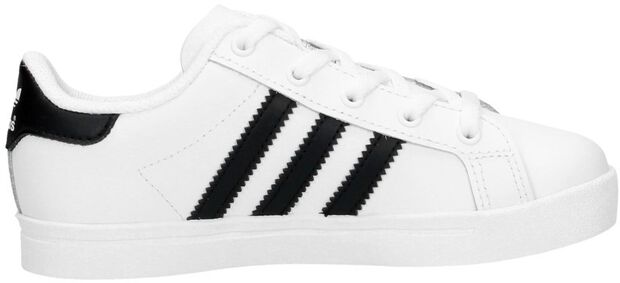 Coast Star C - large