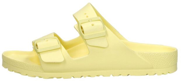 Arizona Essentials - large