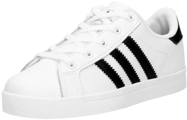 Coast Star C - large