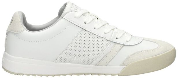 Zinger 2.0 - Fresh - large