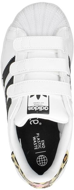 Superstar CF C - large