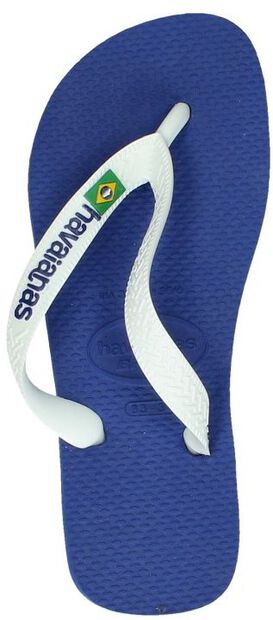 Hav. Brasil Logo - large