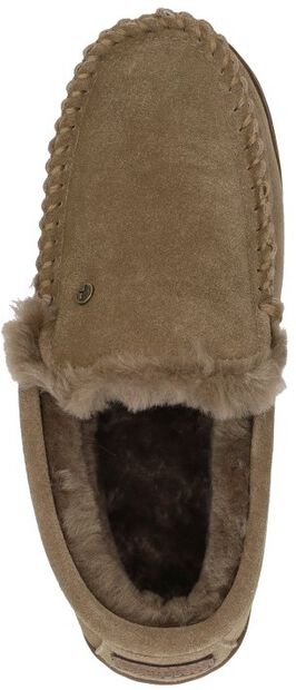 Grizzly - large