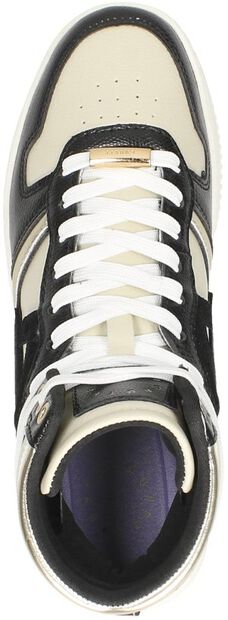 Campo High Lux - large