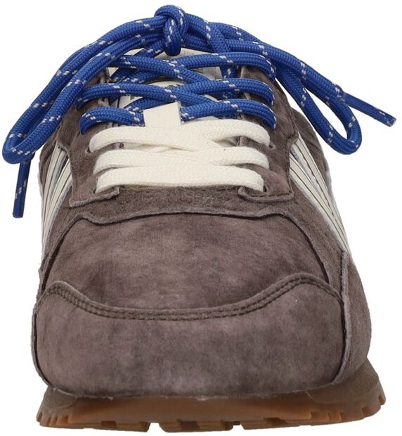 Sneakers Laag - large