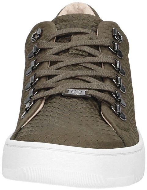 Bennet Dragon Low WS - large