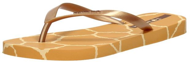 I Love Safari - large