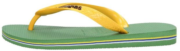 Hav. Brasil Logo - large