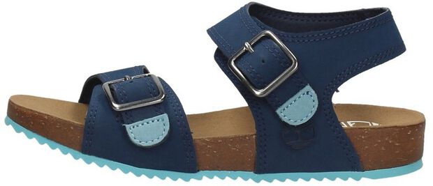 Castle Island 2 Strap - large