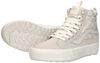 Sk8-Hi Waterproof - small