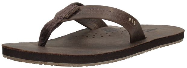 Reef Draftsmen - large