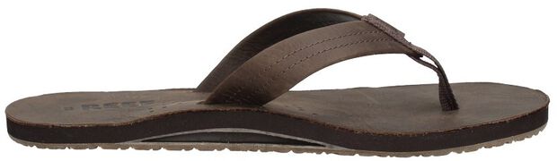 Reef Draftsmen - large