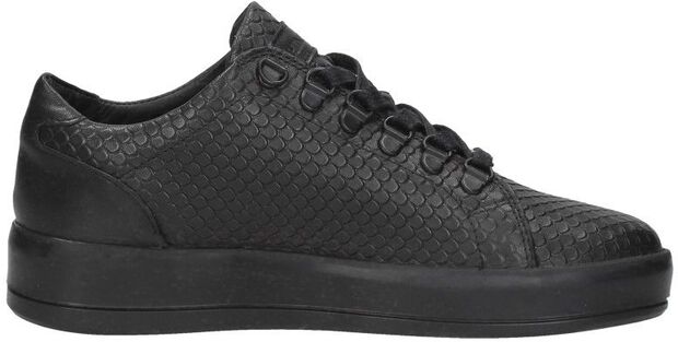 Jenner Mono AW - large