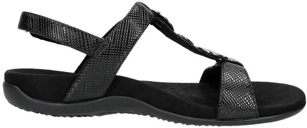 Rest Farra Lizard - large