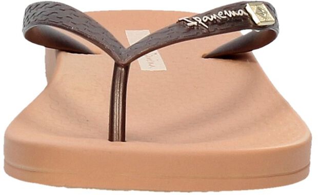 Anatomic Brasilidade - large