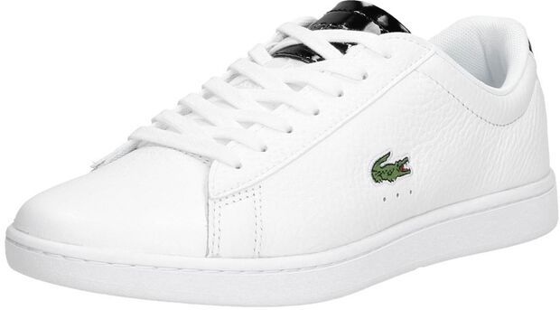 Carnaby EVO 220 - large