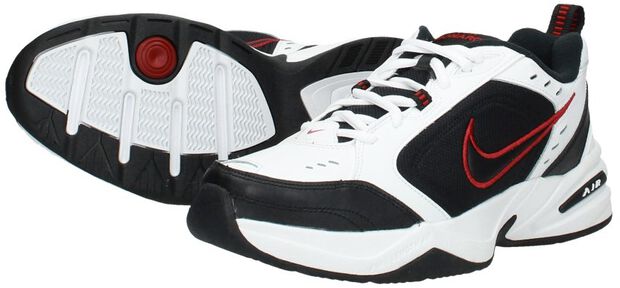 Air Monarch IV Training - large