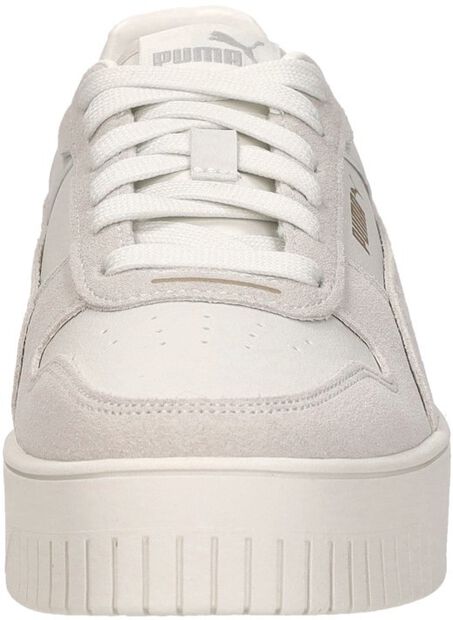 Carina Street SD - large