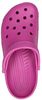 Classic Clog - small