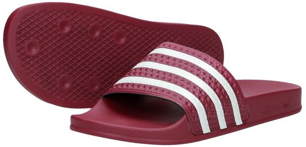 Adilette - large