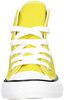 Chuck Taylor All Star Hi - small