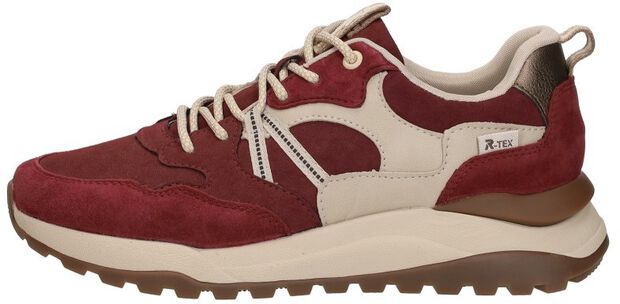 Sneakers Laag - large