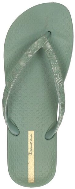 Anatomic Mesh - large