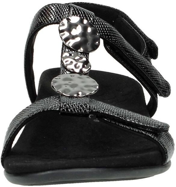 Rest Farra Lizard - large