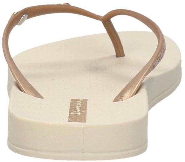 Anatomic Brasilidade - large