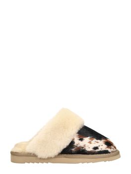 Collie