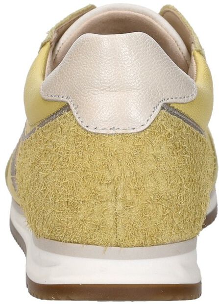 Sneakers Laag - large