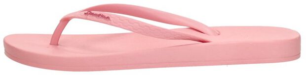 Anatomic Colors - large