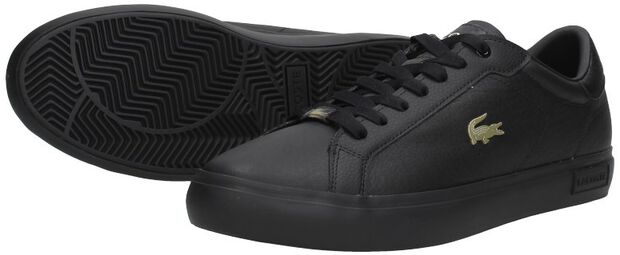 Powercourt QSP - large