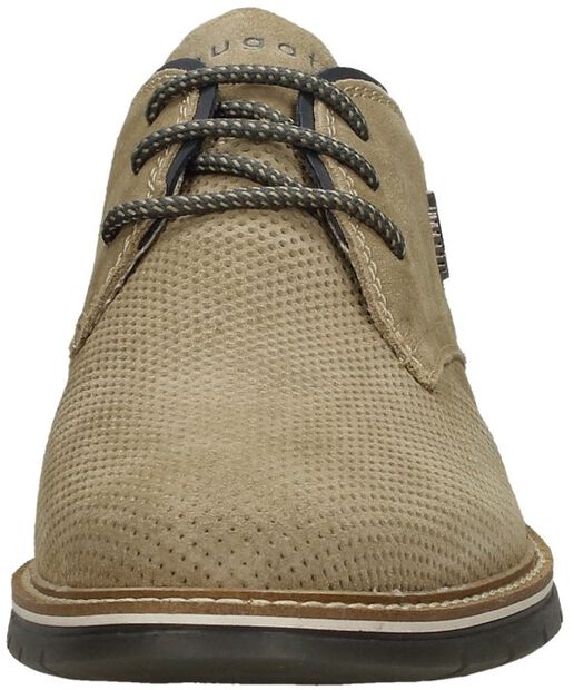 Sammy Comfort - large